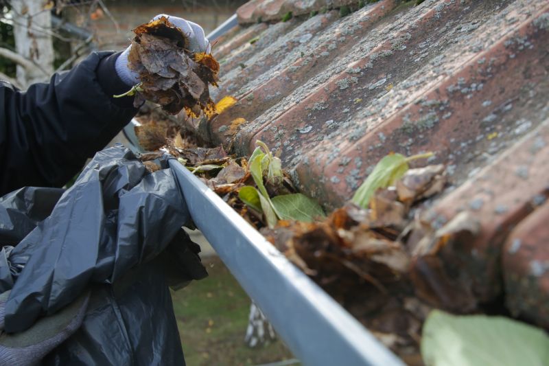 Clogged Gutter Clearing