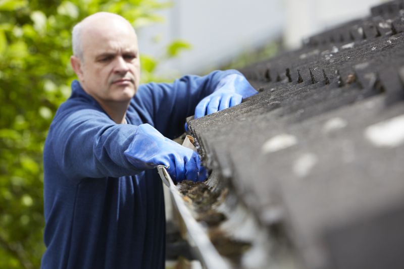 Rain Gutter Cleaning Service