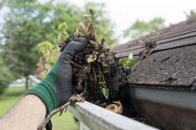 Rain Gutter Maintenance