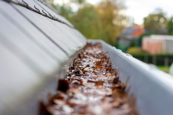 Commercial Gutter Cleaning in Clarkston