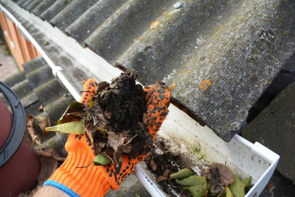 Seamless Gutter Cleaning in Clarkston
