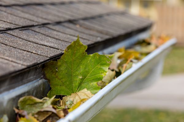 Commercial Downspout Cleaning in Clarkston