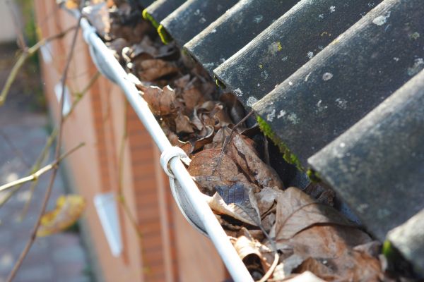 Home Gutter Cleaning in Clarkston