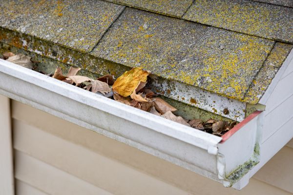 Garage Gutter Cleaning in Clarkston