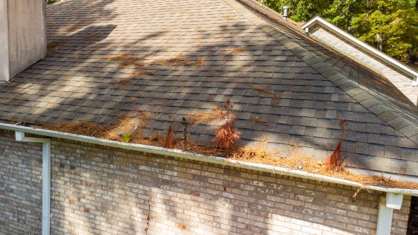 Gutter Pine Needle Removal in Clarkston