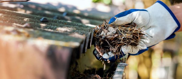 Pine Needle Gutter Cleaning in Clarkston